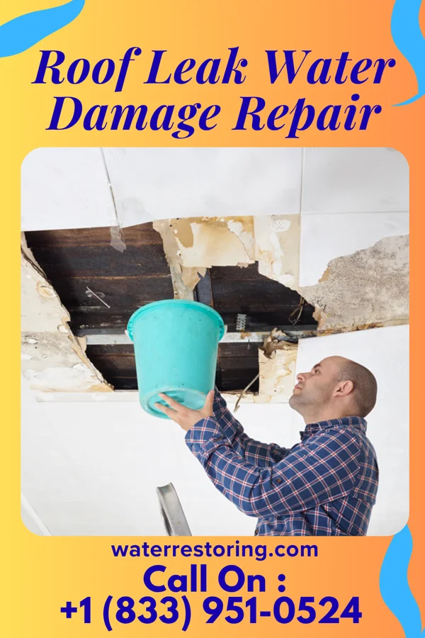 Roof Leak Water Damage Repair in Riverwood, KY