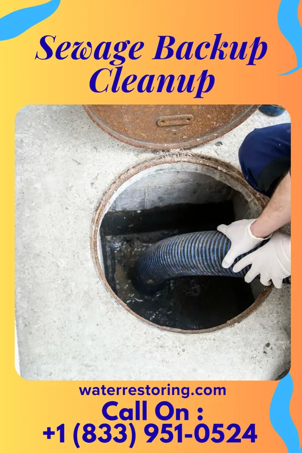 Sewage Backup Cleanup in Riverwood, KY