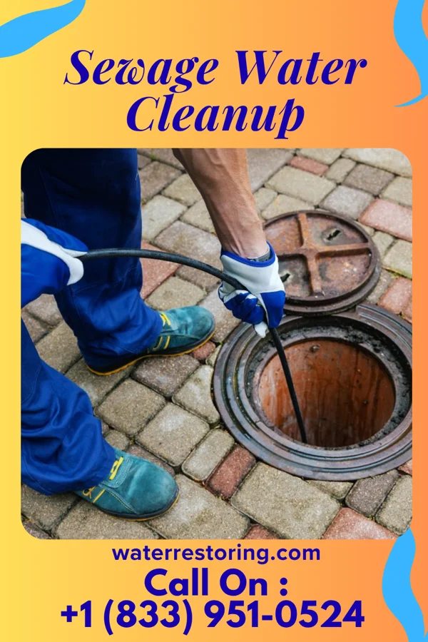 Sewage Water Cleanup in Riverwood, KY